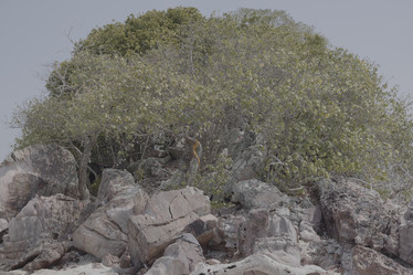 Similar image 22120827