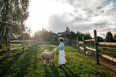 Similar image 22100925