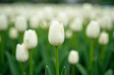 Similar image 22107099