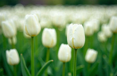 Similar image 22107102