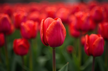 Similar image 22107112