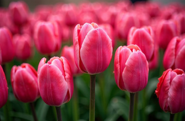 Similar image 22107116