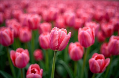 Similar image 22107118