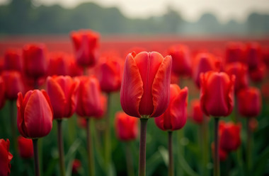 Similar image 22107339