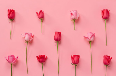 Similar image 22107347