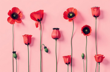 Similar image 22107350