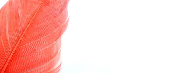 Similar image 22101257