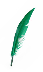 Similar image 22101258