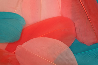 Similar image 22101267