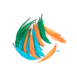 Similar image 22101271