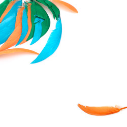 Similar image 22101272