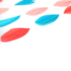 Similar image 22101277