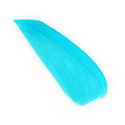 Similar image 22101278