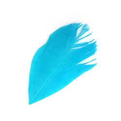 Similar image 22101279