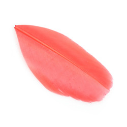 Similar image 22101281