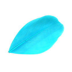 Similar image 22101282