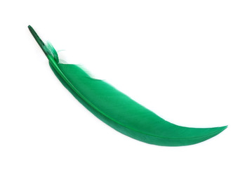 Similar image 22101283