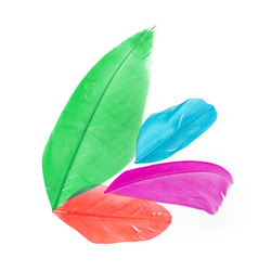 Similar image 22101284