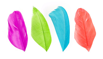 Similar image 22101285