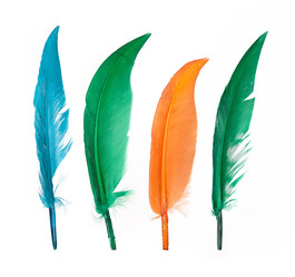 Similar image 22101287