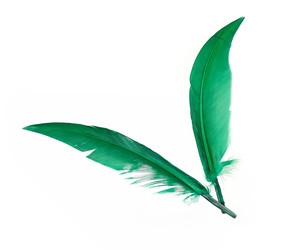 Similar image 22101288