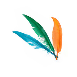 Similar image 22101289