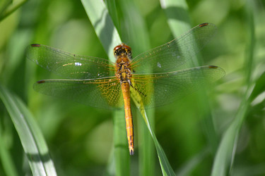 Similar image 22101096