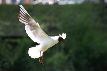 Similar image 22101097