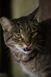 Similar image 22101098