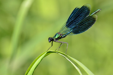 Similar image 22101099