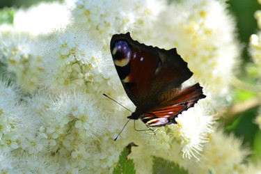 Similar image 22101100