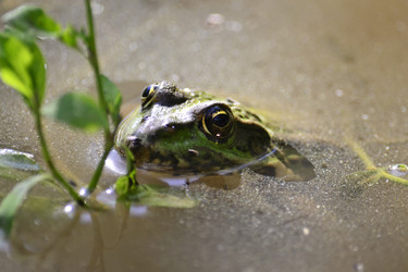 Similar image 22101101