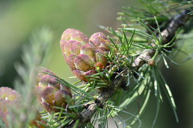 Similar image 22101103