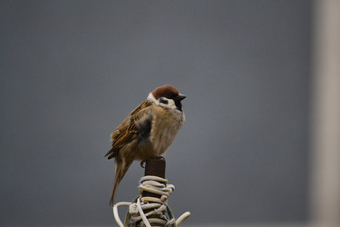 Similar image 22101104