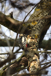 Similar image 22101105