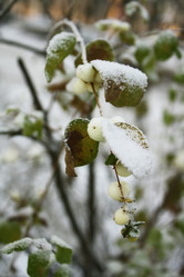 Similar image 22101106