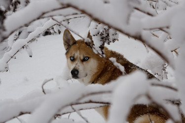 Similar image 22101107