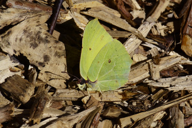 Similar image 22101108