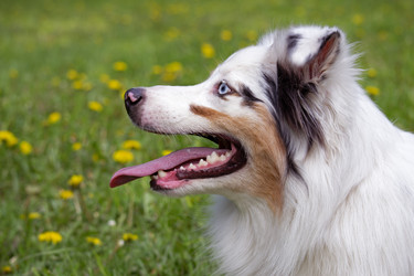 Similar image 22101109