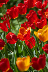 Similar image 22101110