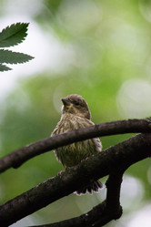 Similar image 22101111