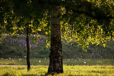 Similar image 22101112