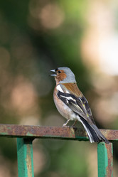 Similar image 22101113