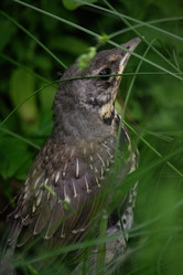 Similar image 22101114