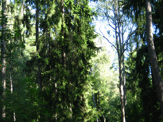 Similar image 22105933