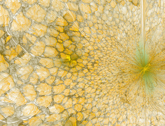 Similar image 22107124