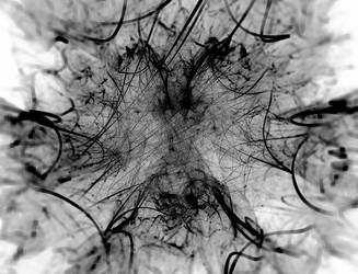 Similar image 22107133