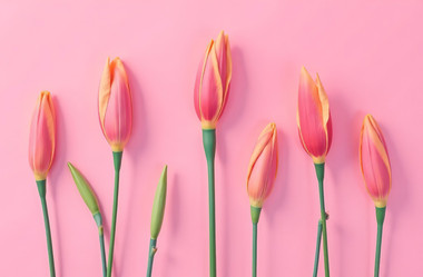 Similar image 22107605