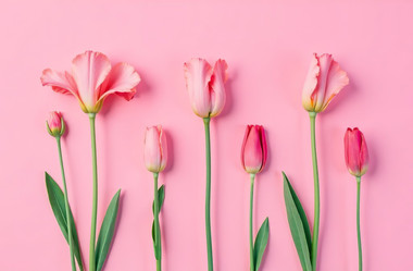 Similar image 22107607