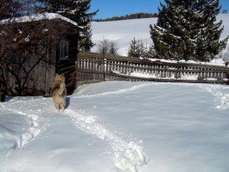 Similar image 22100878